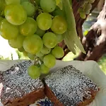 Hotel George Limenas (Thasos)