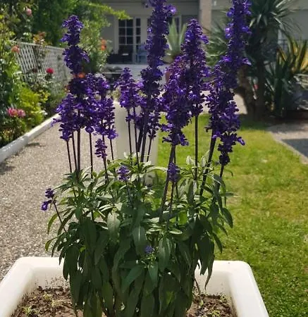 γεώργιος Ξενοδοχείο 2*