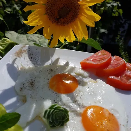 Ξενοδοχείο γεώργιος