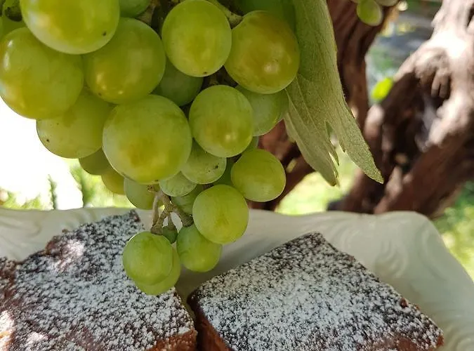 Отель George Тасос